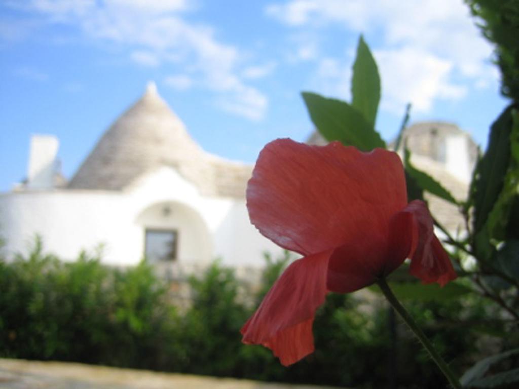La Trullesa Holiday Alberobello Kültér fotó