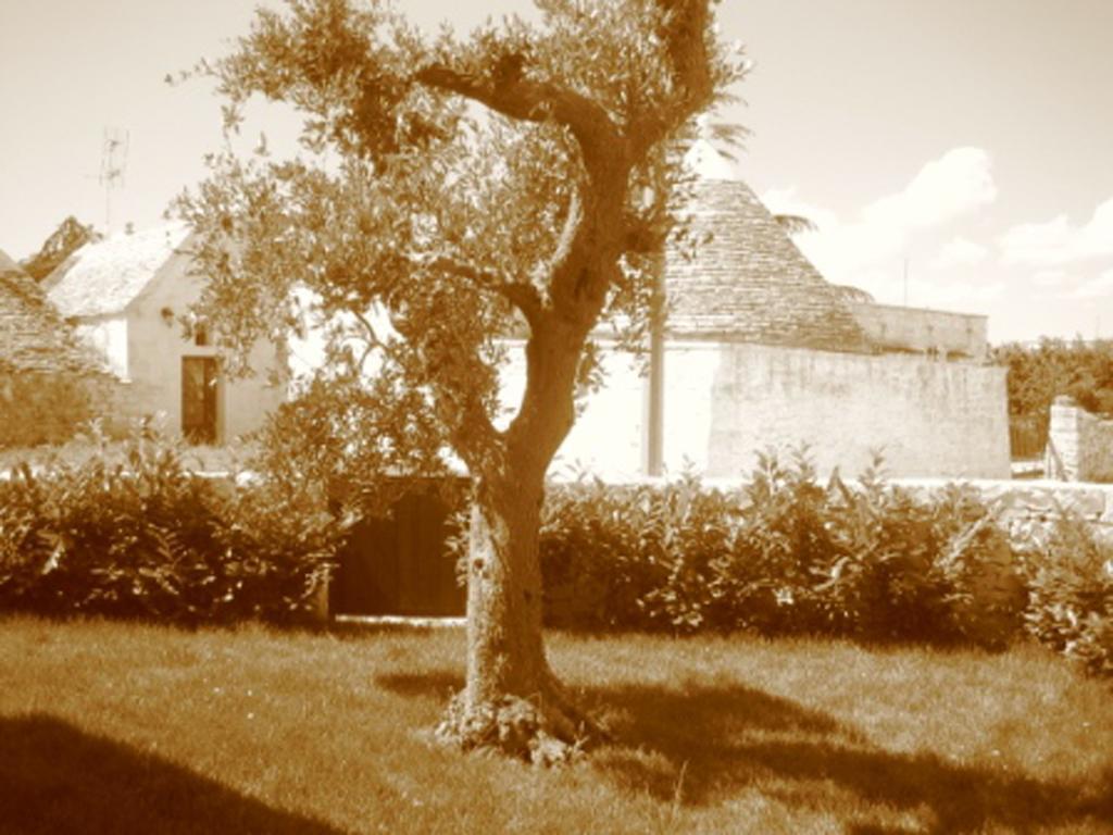 La Trullesa Holiday Alberobello Kültér fotó